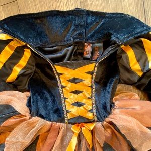 Magical Orange and Black Witch Costume!